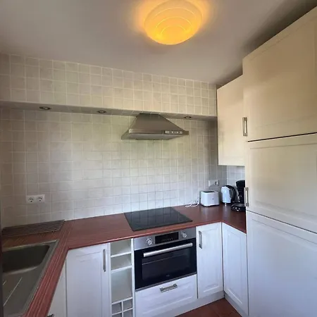 Alemanya 9 Privat Pool Tatil Evi *